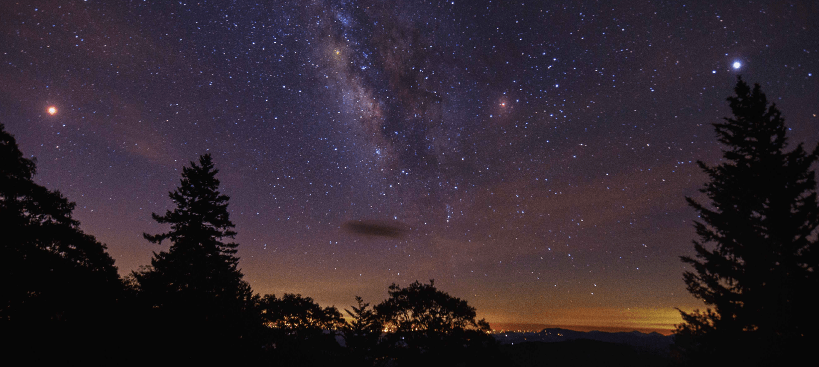 Contact Adam Gainsburg Header